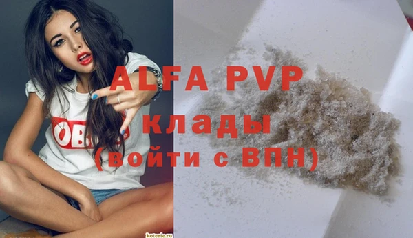 сатива Армянск