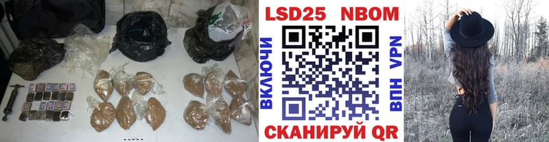 хочу наркоту  darknet Telegram  LSD-25 экстази кислота  Светлоград 