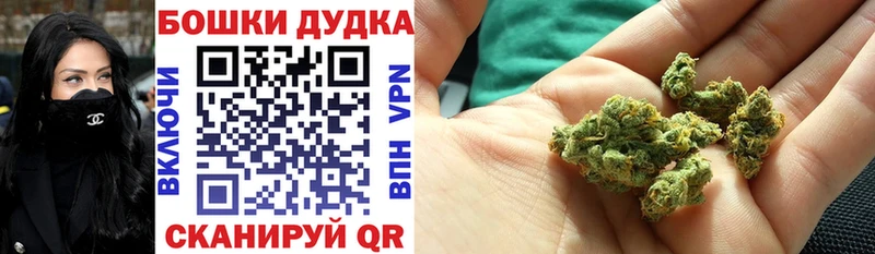 Бошки марихуана сатива хочу наркоту Светлоград